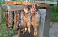 Как сделать коптильню в домашних условиях?