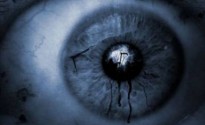 Планетарный разум — фантастика или реальность?