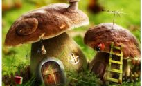 Разумные грибы — хозяева природы